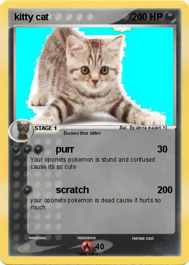 Pokemon kitty cat
