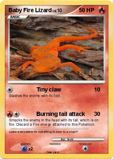 Pokemon Baby Fire Lizard