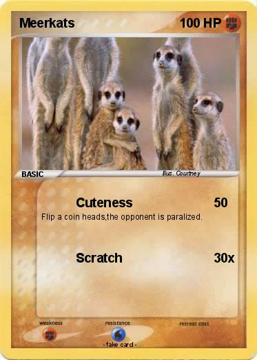 Pokemon Meerkats