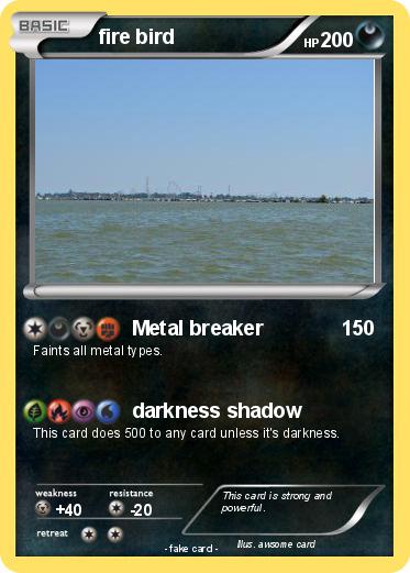 Pokemon fire bird