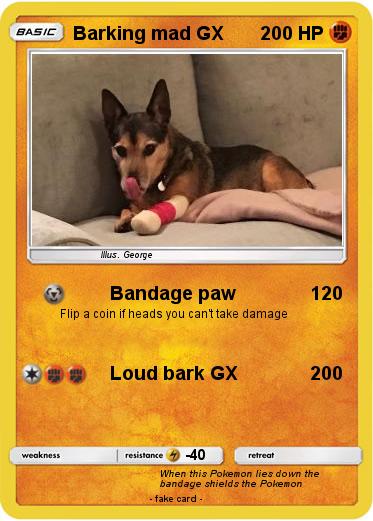 Pokemon Barking mad GX
