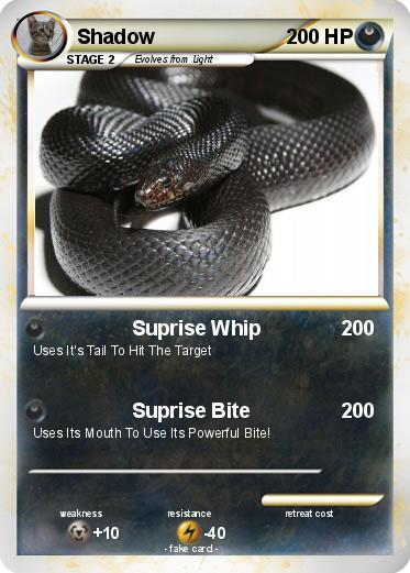 Pokemon Shadow