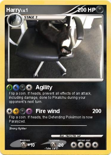 Pokemon Harry