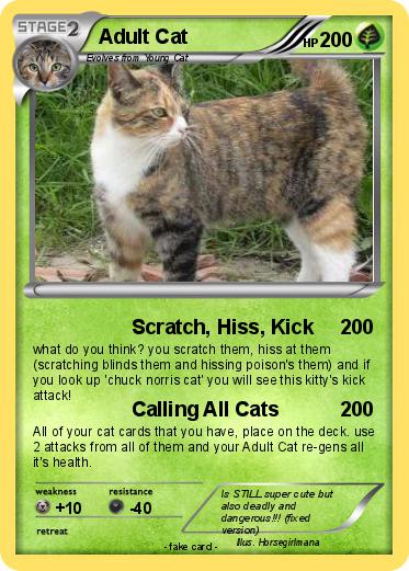 Pokemon Adult Cat