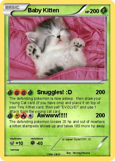Pokemon Baby Kitten