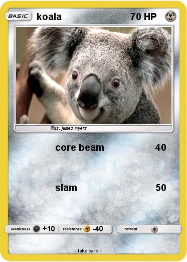Pokemon koala