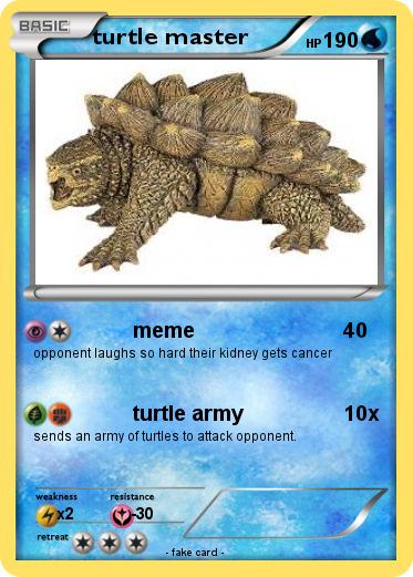 Pokemon turtle master