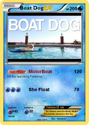 Pokemon Boat Dog