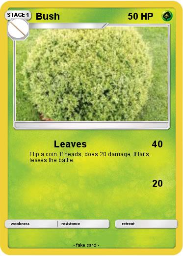 Pokemon Bush