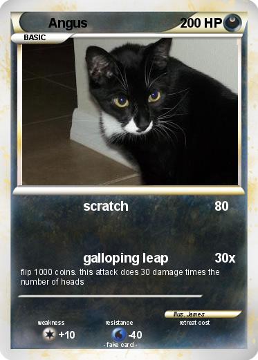 Pokemon Angus