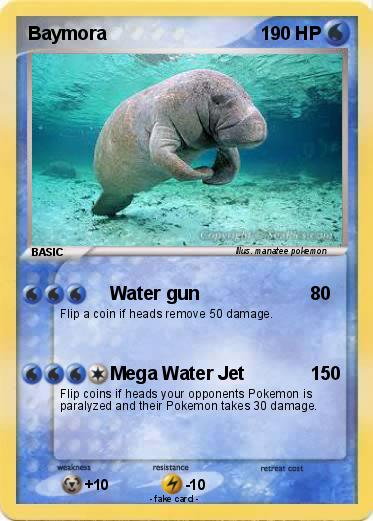 Pokemon Baymora