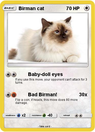 Pokemon Birman cat