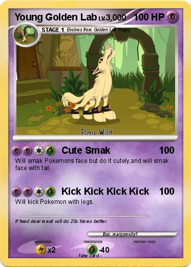 Pokemon Young Golden Lab