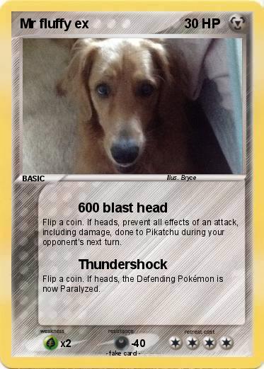 Pokemon Mr fluffy ex