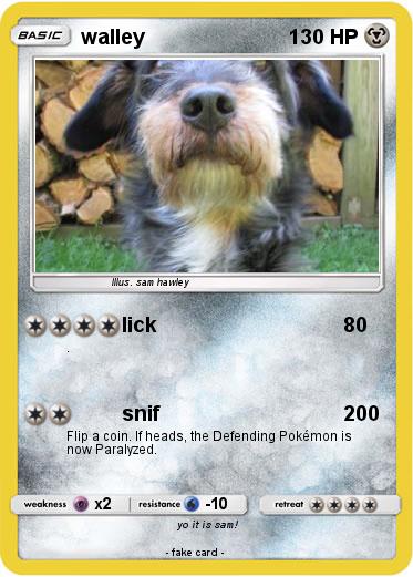 Pokemon walley