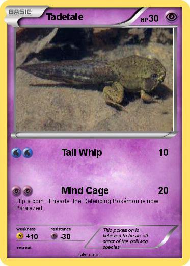 Pokemon Tadetale