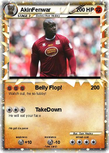 Pokemon AkinFenwar