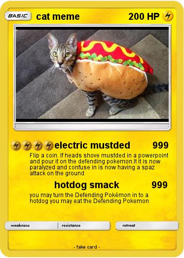 Pokemon cat meme