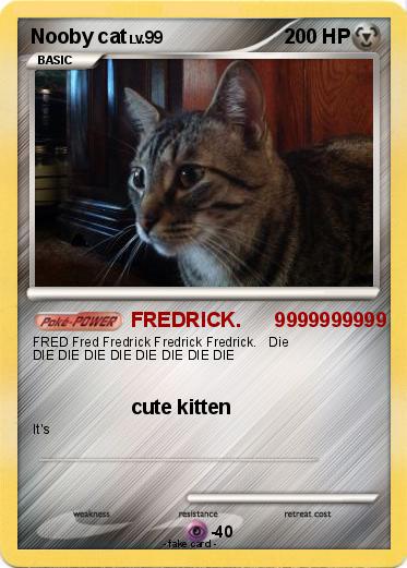 Pokemon Nooby cat