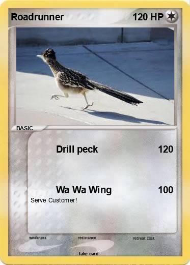 Pokemon Roadrunner