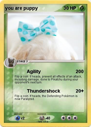 Pokemon you are puppy