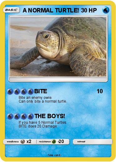 Pokemon A NORMAL TURTLE!