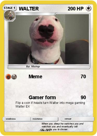 Pokemon WALTER
