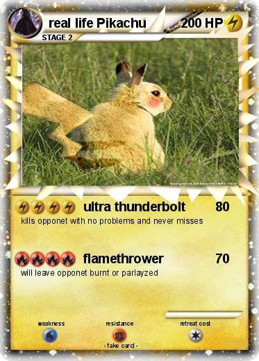 Pokemon real life Pikachu
