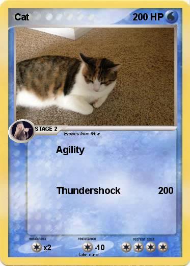 Pokemon Cat