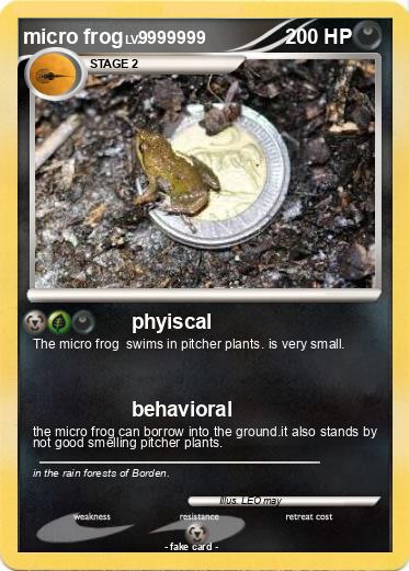 Pokemon micro frog