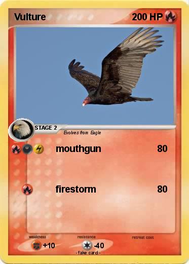 Pokemon Vulture