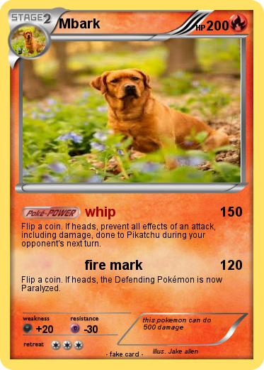 Pokemon Mbark