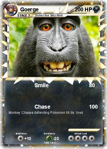 Pokemon Goerge