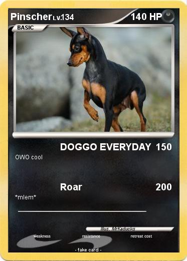 Pokemon Pinscher