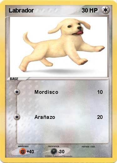 Pokemon Labrador
