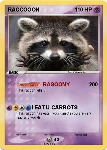 Pokemon RACCOOON