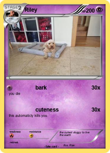 Pokemon Riley