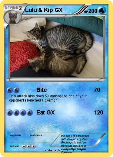 Pokemon Lulu & Kip GX