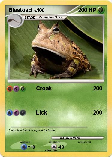 Pokemon Blastoad