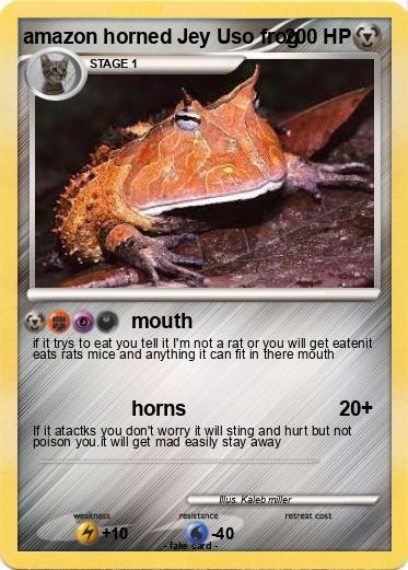 Pokemon amazon horned Jey Uso frog