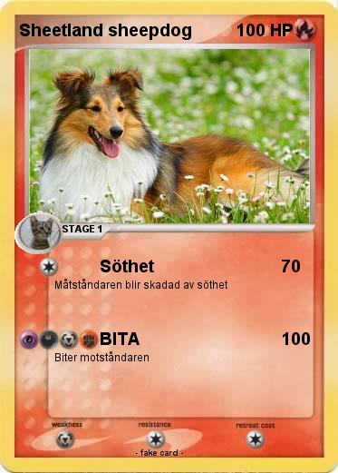 Pokemon Sheetland sheepdog