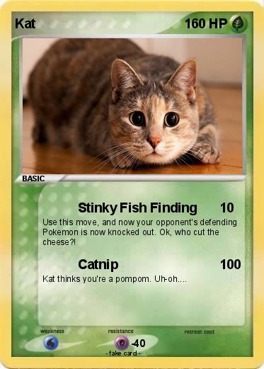 Pokemon Kat