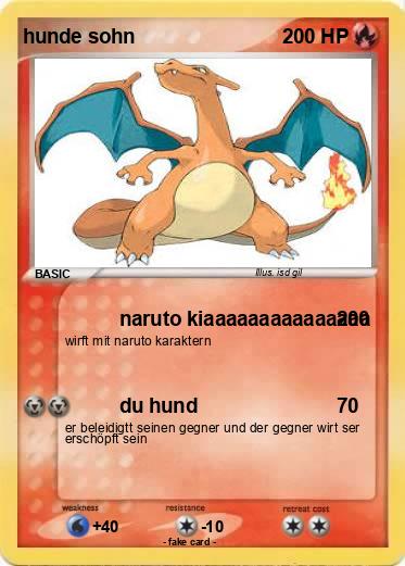 Pokemon hunde sohn