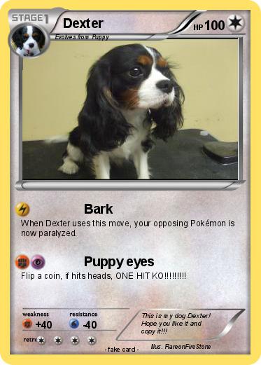 Pokemon Dexter
