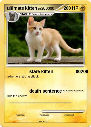 Pokemon ultimate kitten
