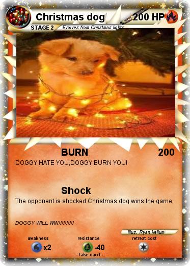 Pokemon Christmas dog