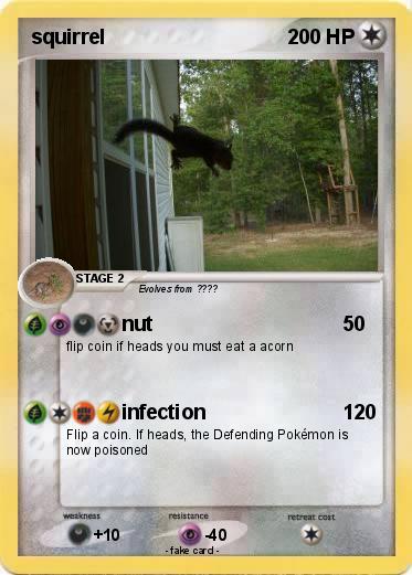Pokemon squirrel