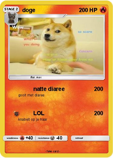 Pokemon doge