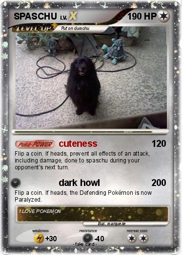 Pokemon SPASCHU