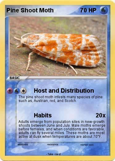 Pokemon Pine Shoot Moth